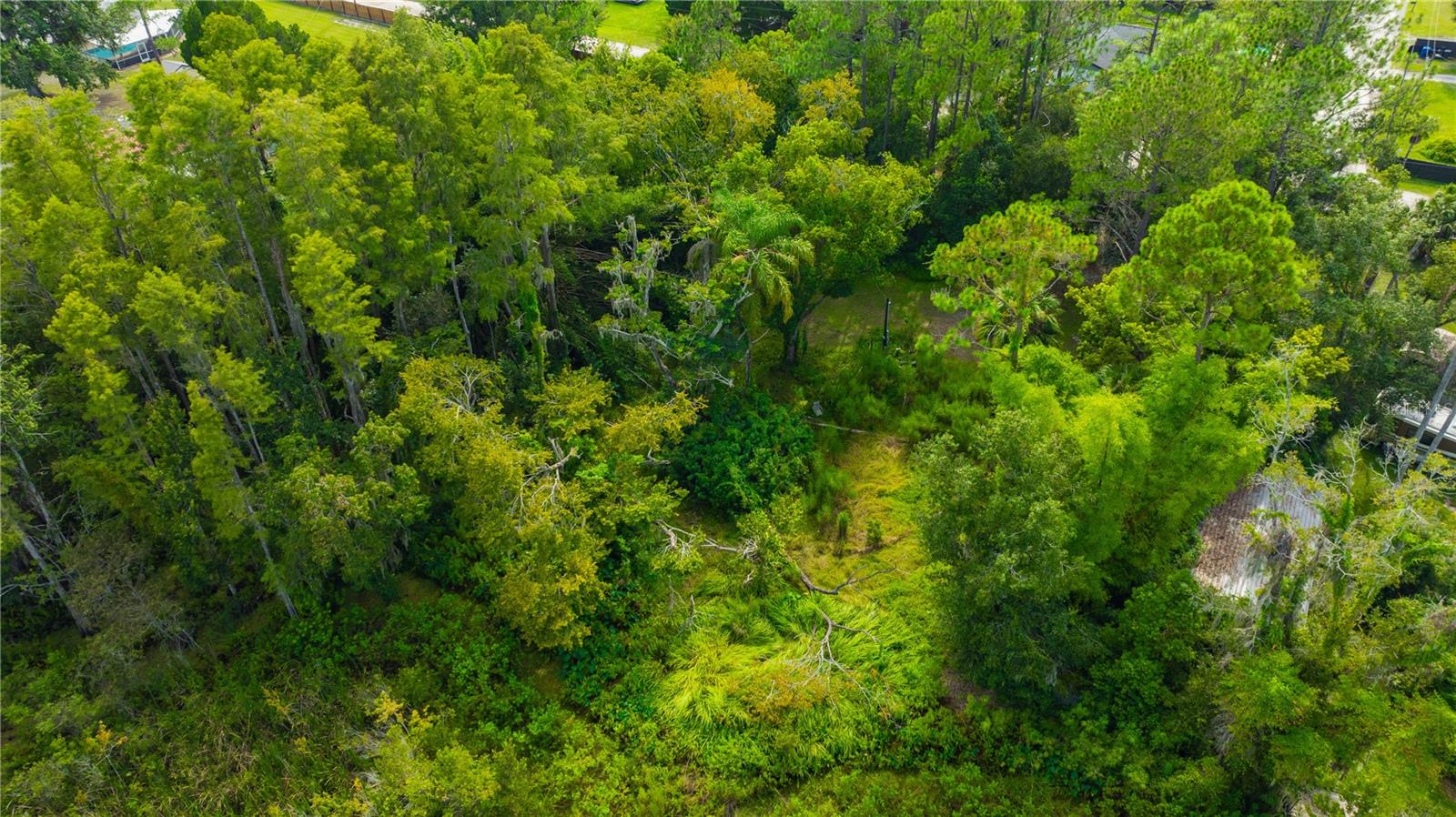 7408 TOM DR, LAND O LAKES, FL — photo 21