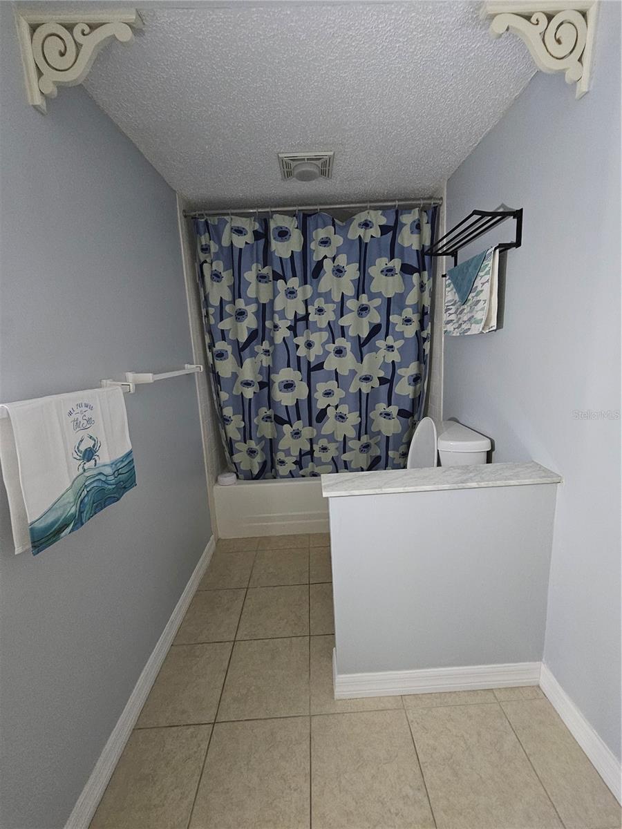 13813 MISSION OAKS BLVD, SEMINOLE, FL — photo 18