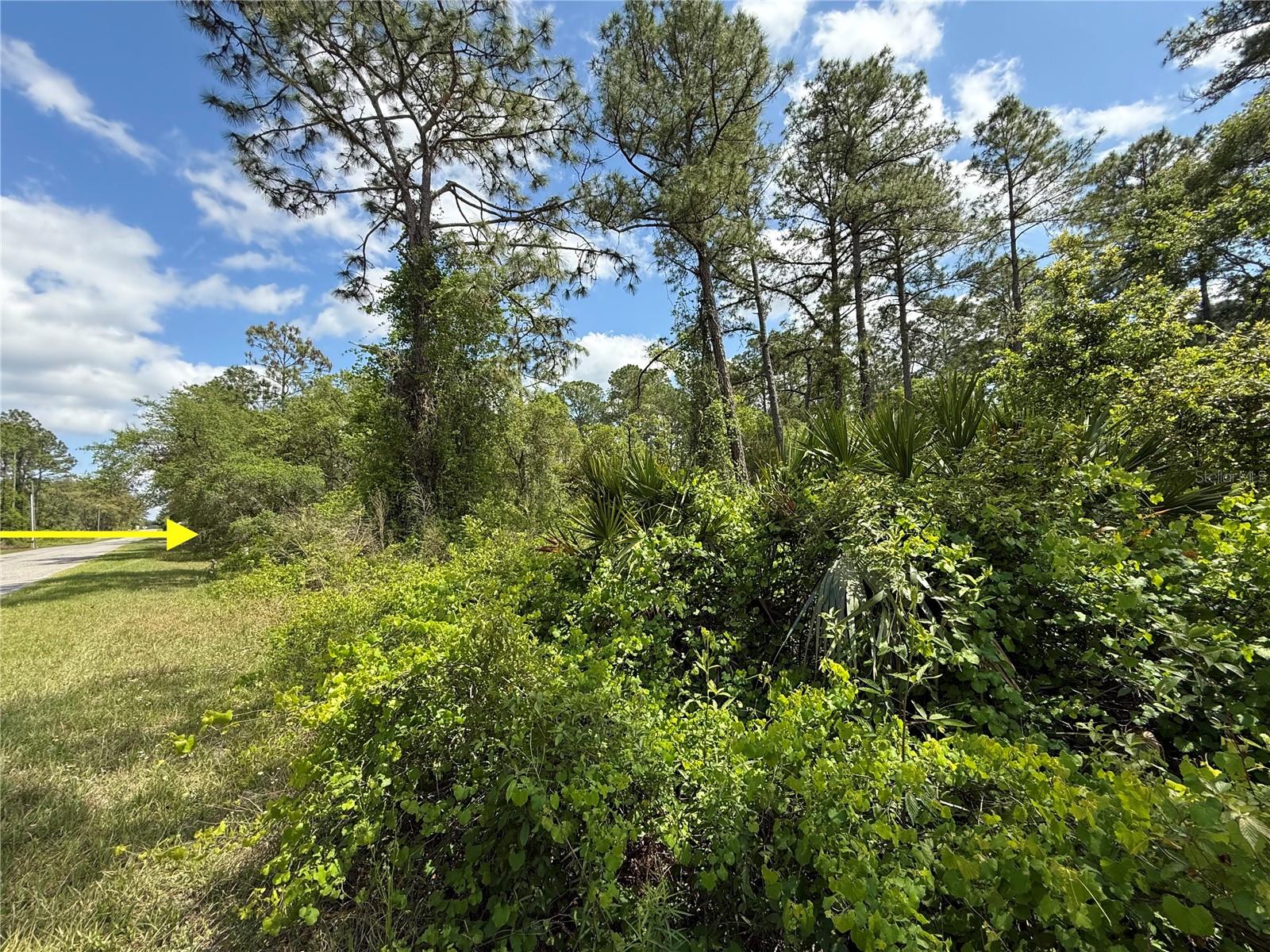 LOT 2 QUINCE AVE, EUSTIS, FL — photo 17