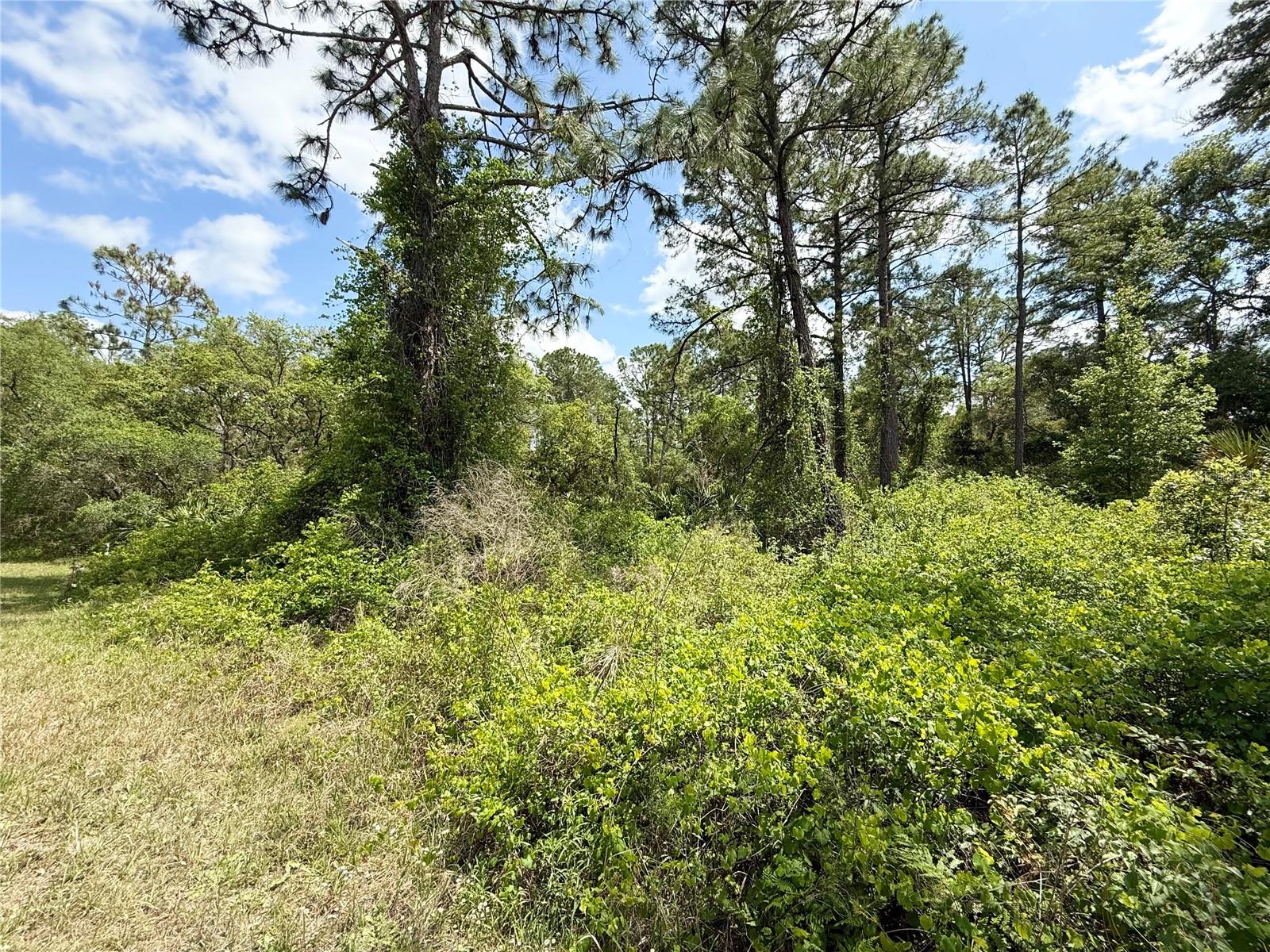 LOT 2 QUINCE AVE, EUSTIS, FL — photo 19
