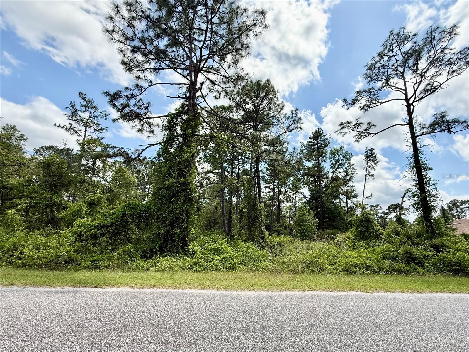 LOT 2 QUINCE AVE, EUSTIS, FL — photo 26