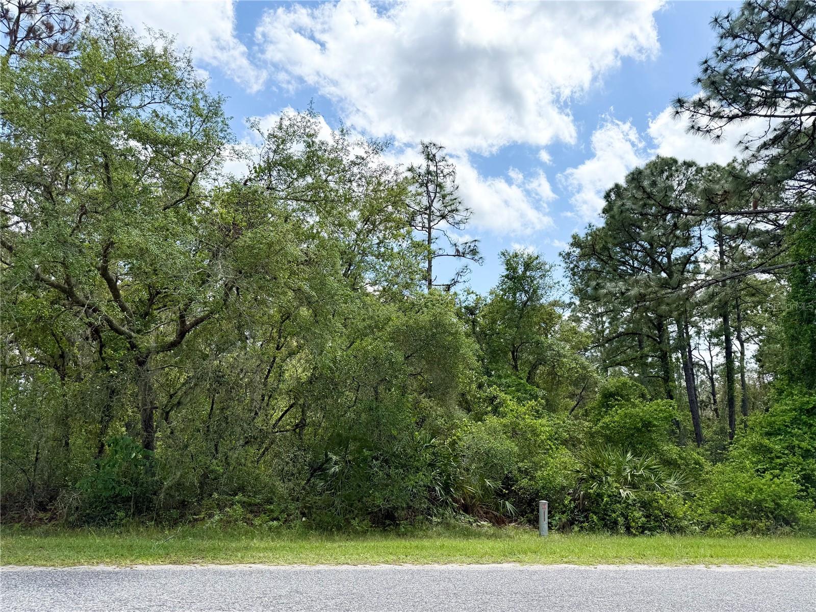 LOT 2 QUINCE AVE, EUSTIS, FL — photo 8