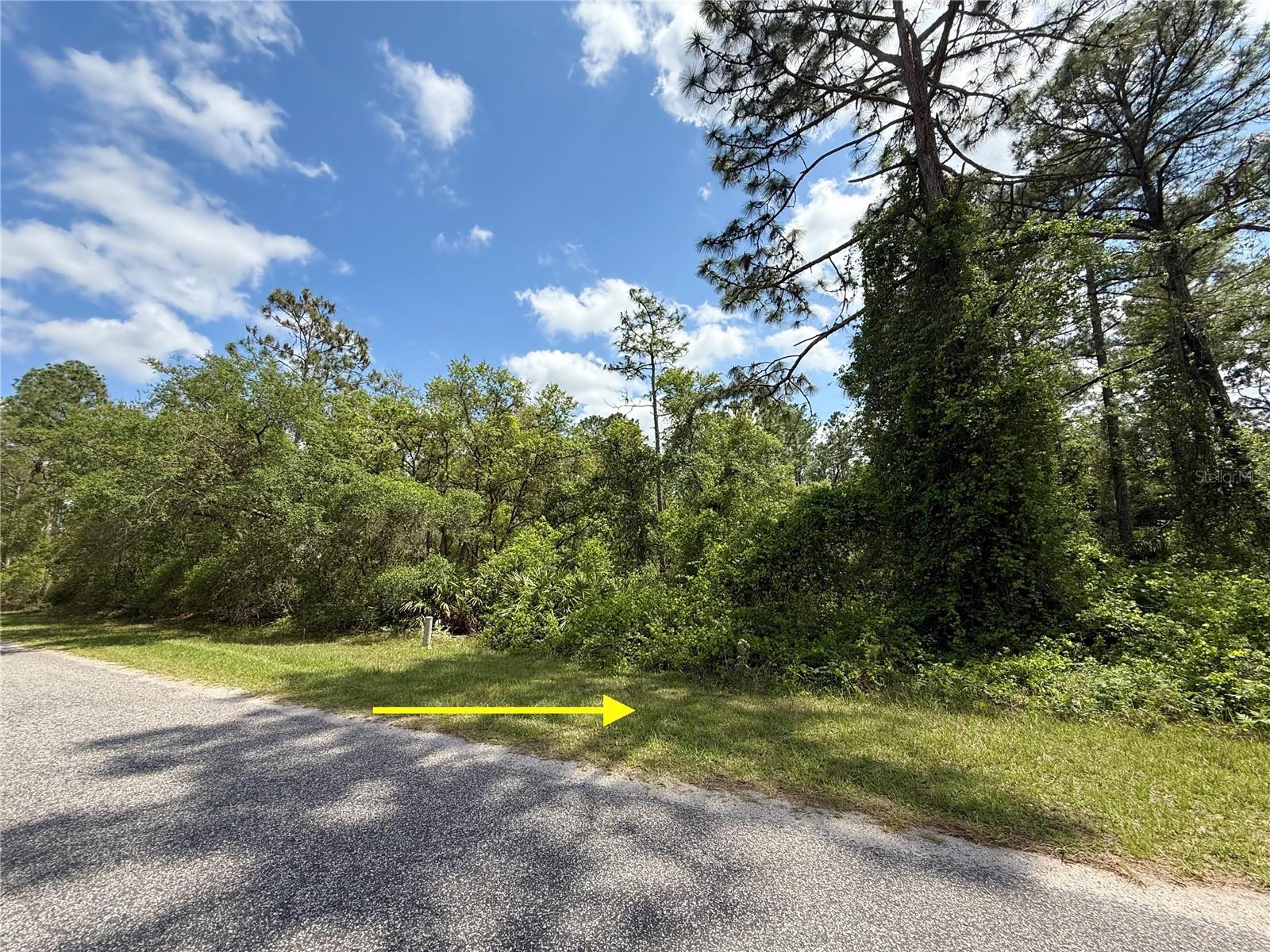 LOT 2 QUINCE AVE, EUSTIS, FL — photo 5
