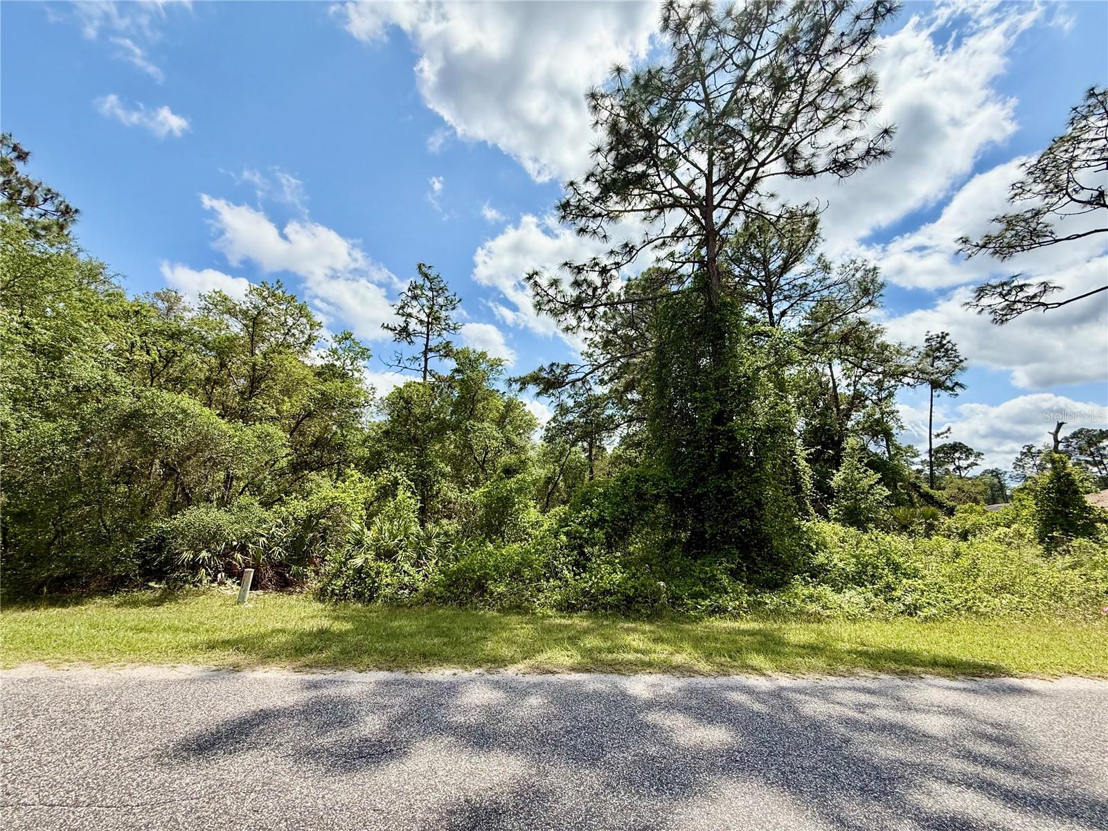LOT 2 QUINCE AVE, EUSTIS, FL — photo 11