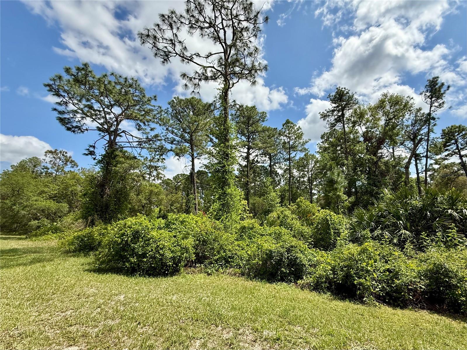 LOT 2 QUINCE AVE, EUSTIS, FL — photo 23