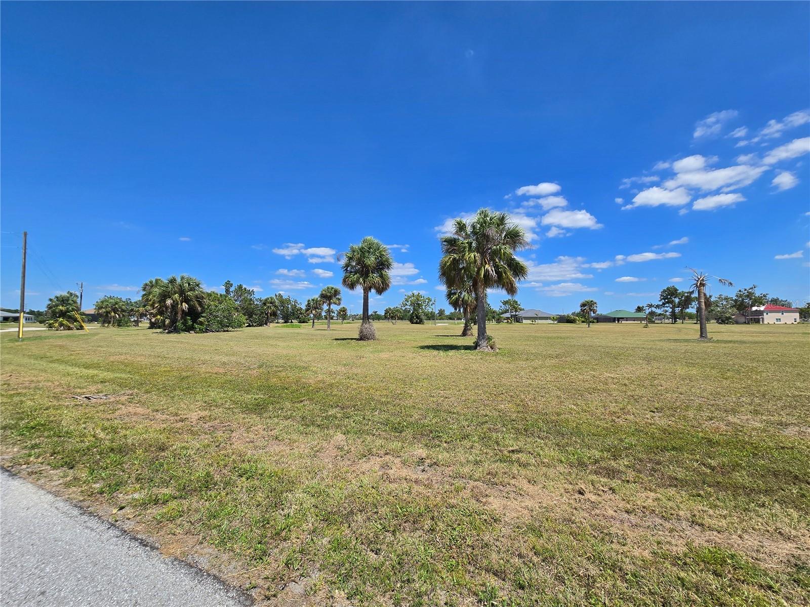 16284 JUAREZ CT, PUNTA GORDA, FL — photo 3