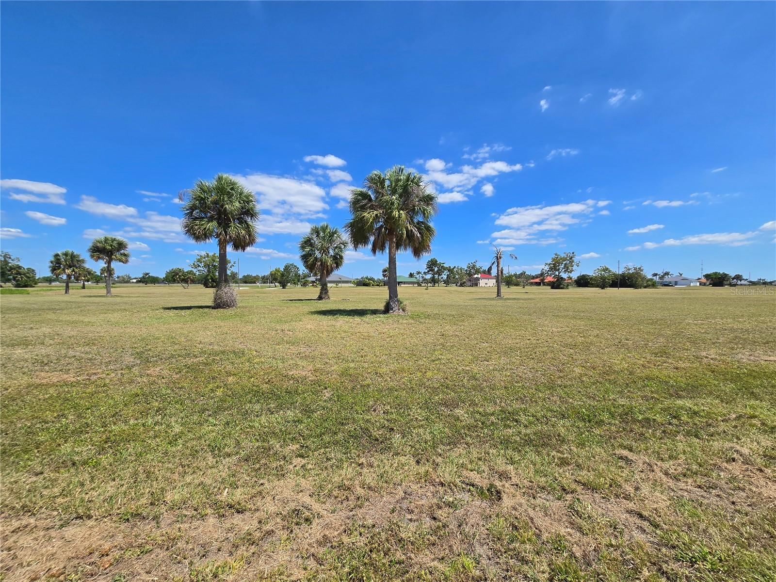 16284 JUAREZ CT, PUNTA GORDA, FL — photo 4