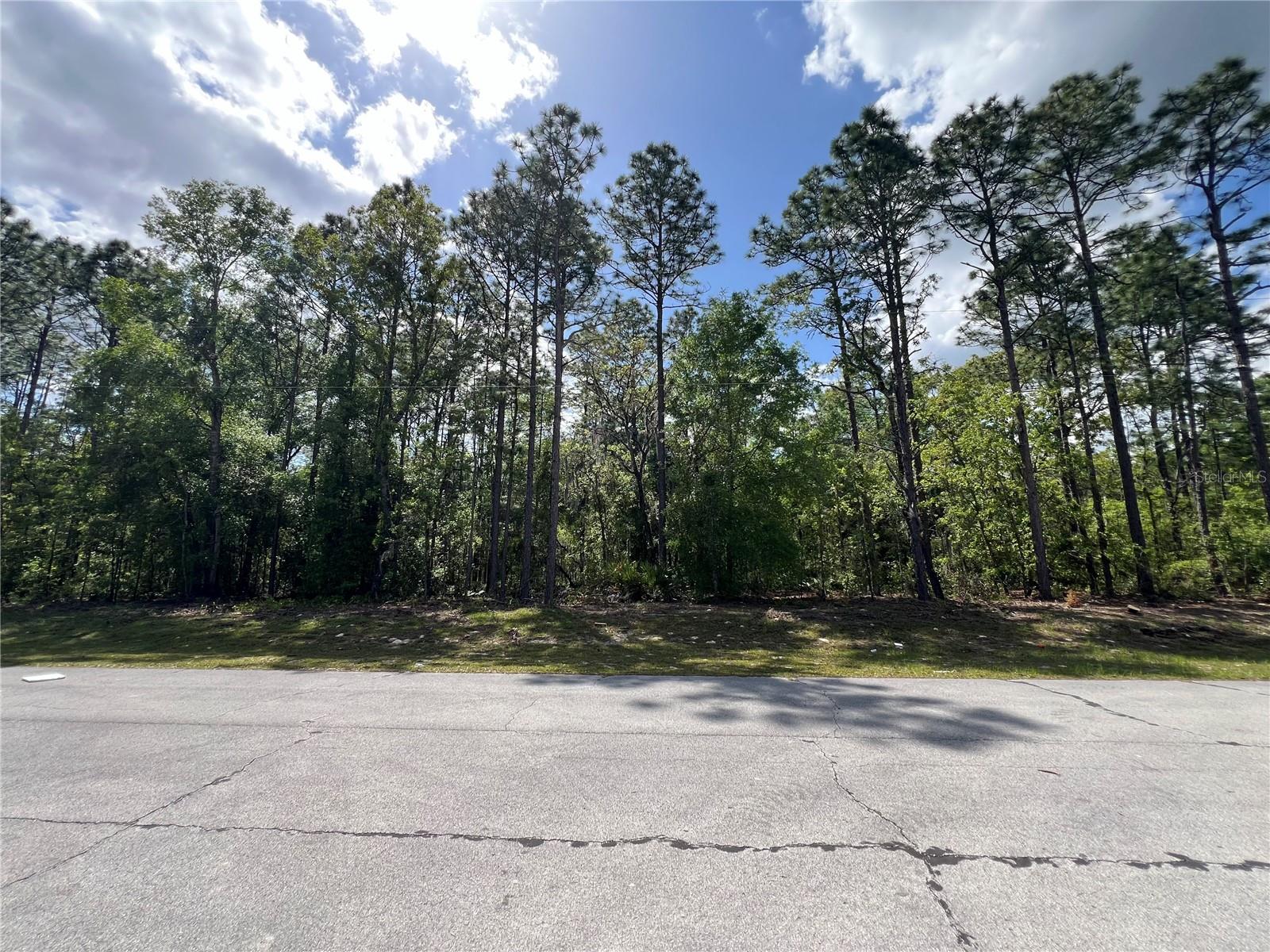 SW 89 CIR, OCALA, FL — photo 2