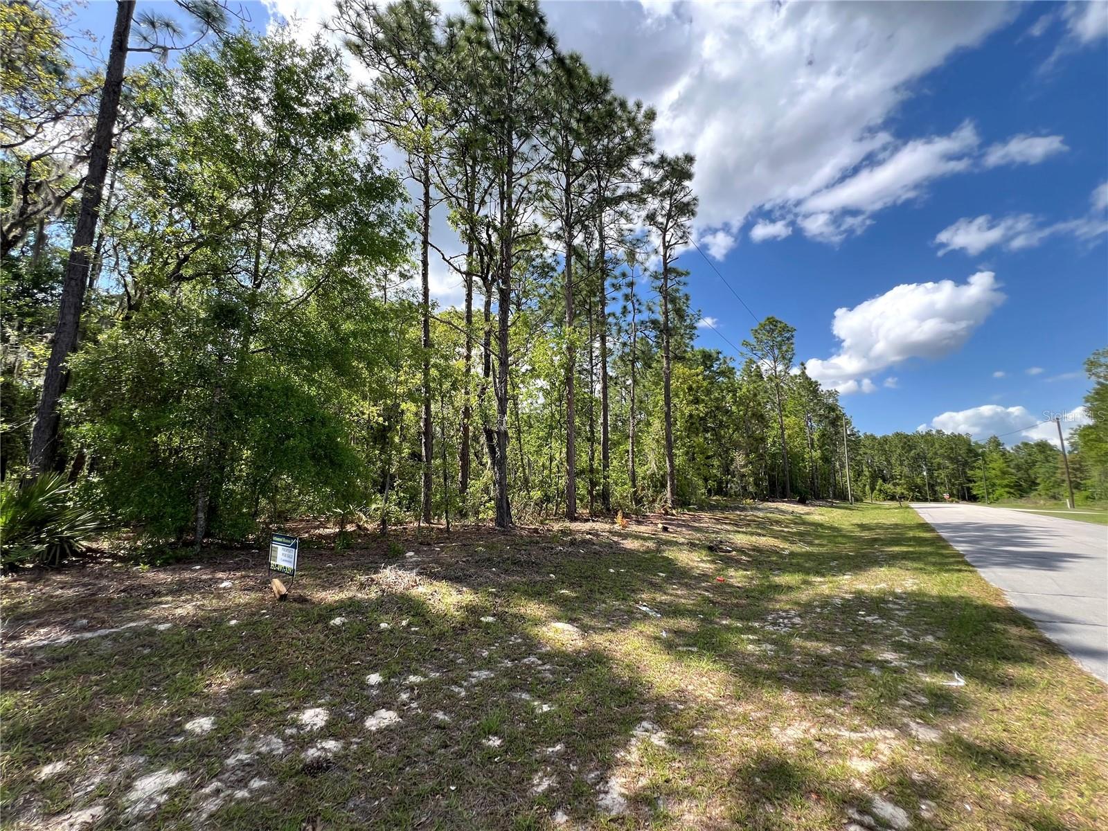 SW 89 CIR, OCALA, FL — photo 7