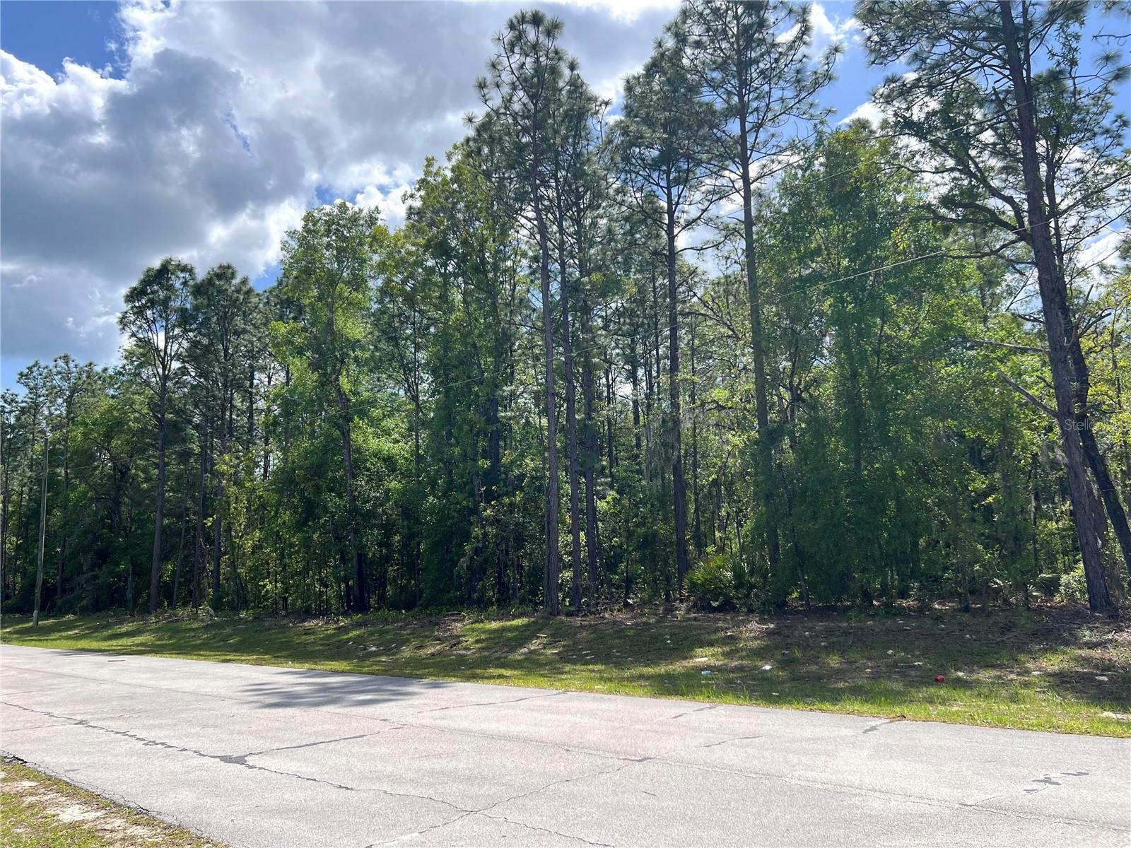 SW 89 CIR, OCALA, FL — photo 9