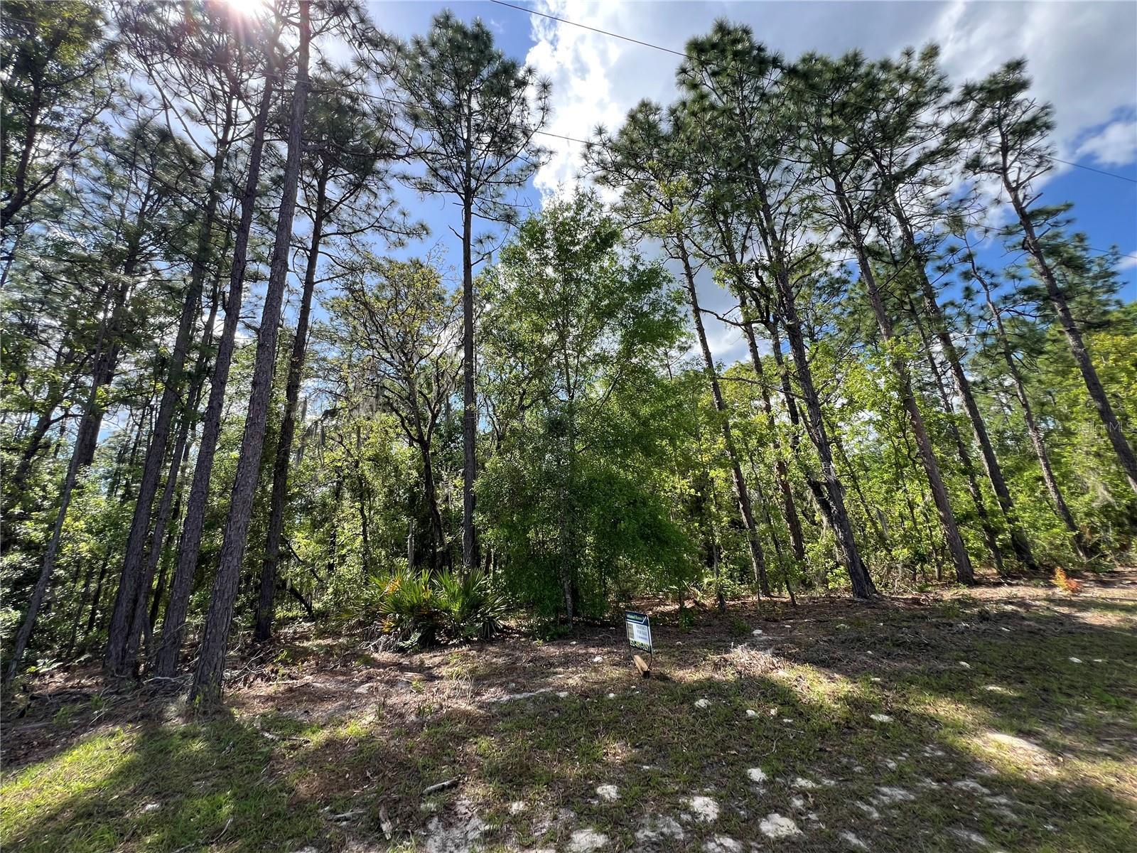 SW 89 CIR, OCALA, FL — photo 10