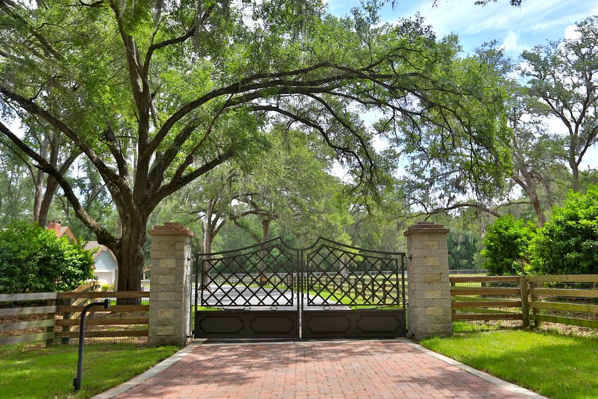 10925 SW 16TH AVE, OCALA, FL — photo 9