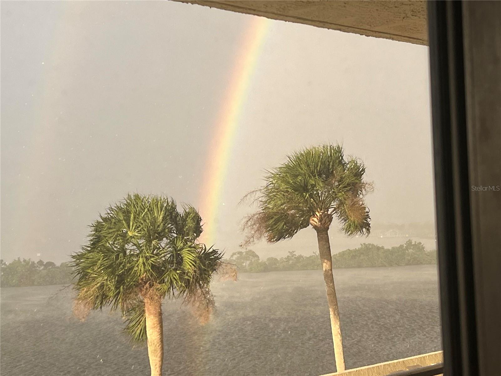 5915 SEA RANCH DR #512, HUDSON, FL — photo 34