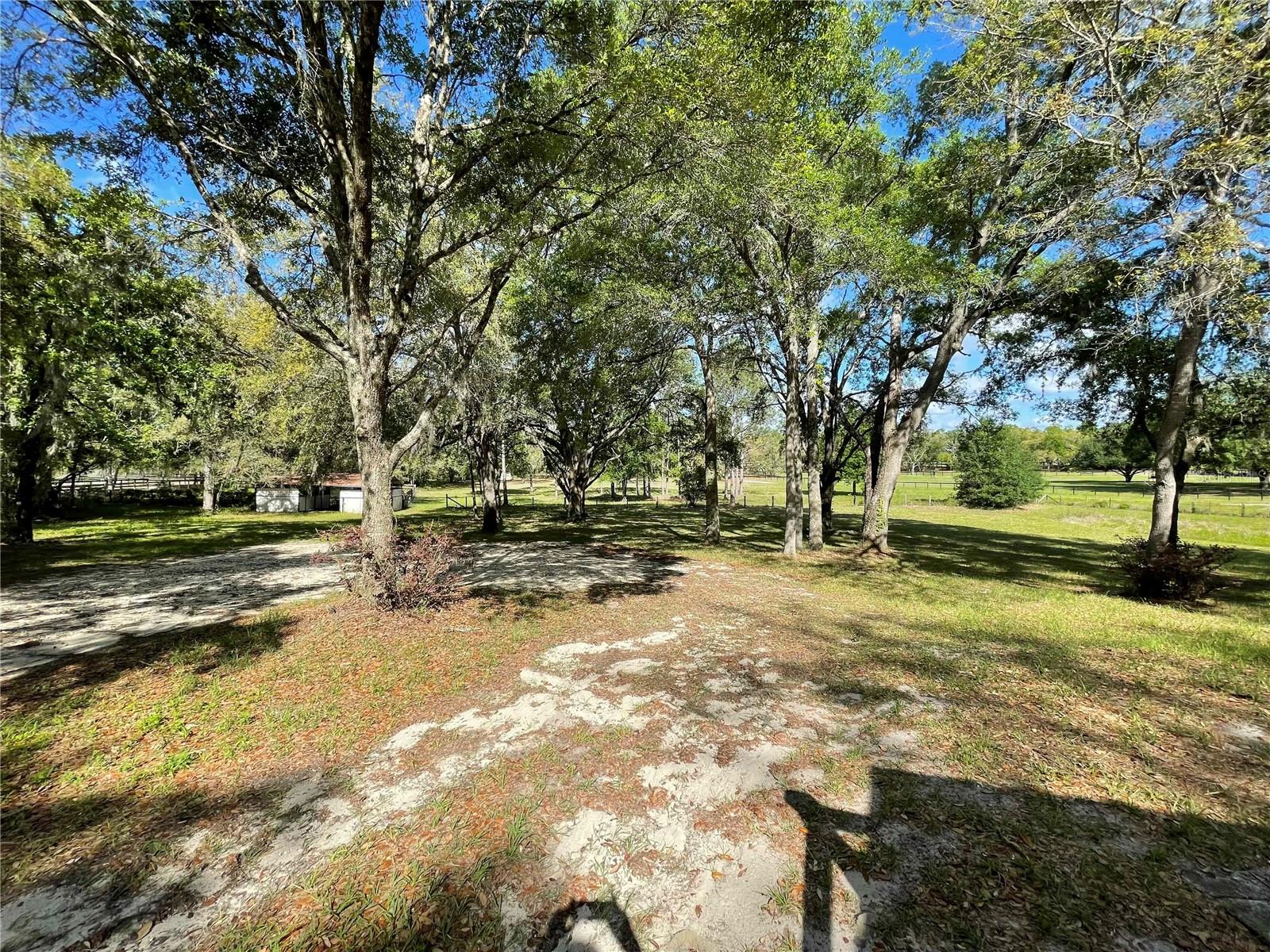 1550 SE 111TH CT, MORRISTON, FL — photo 38