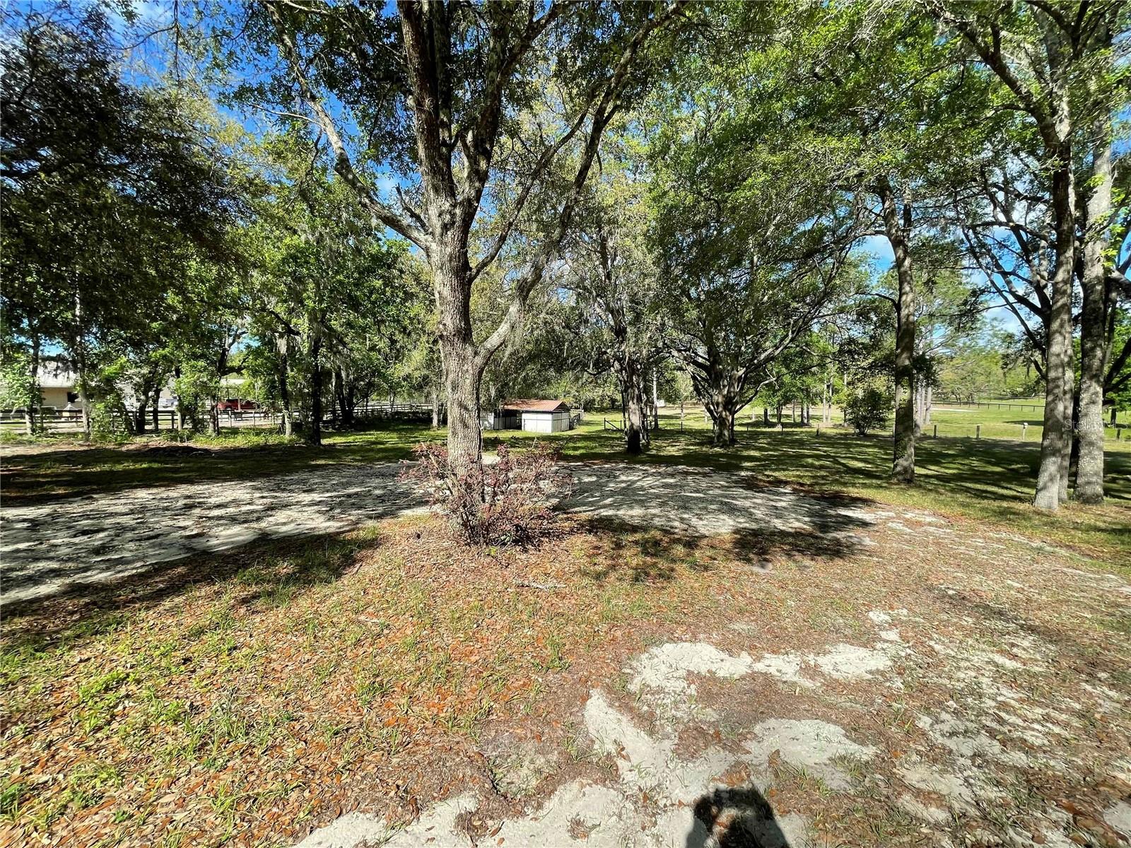 1550 SE 111TH CT, MORRISTON, FL — photo 40