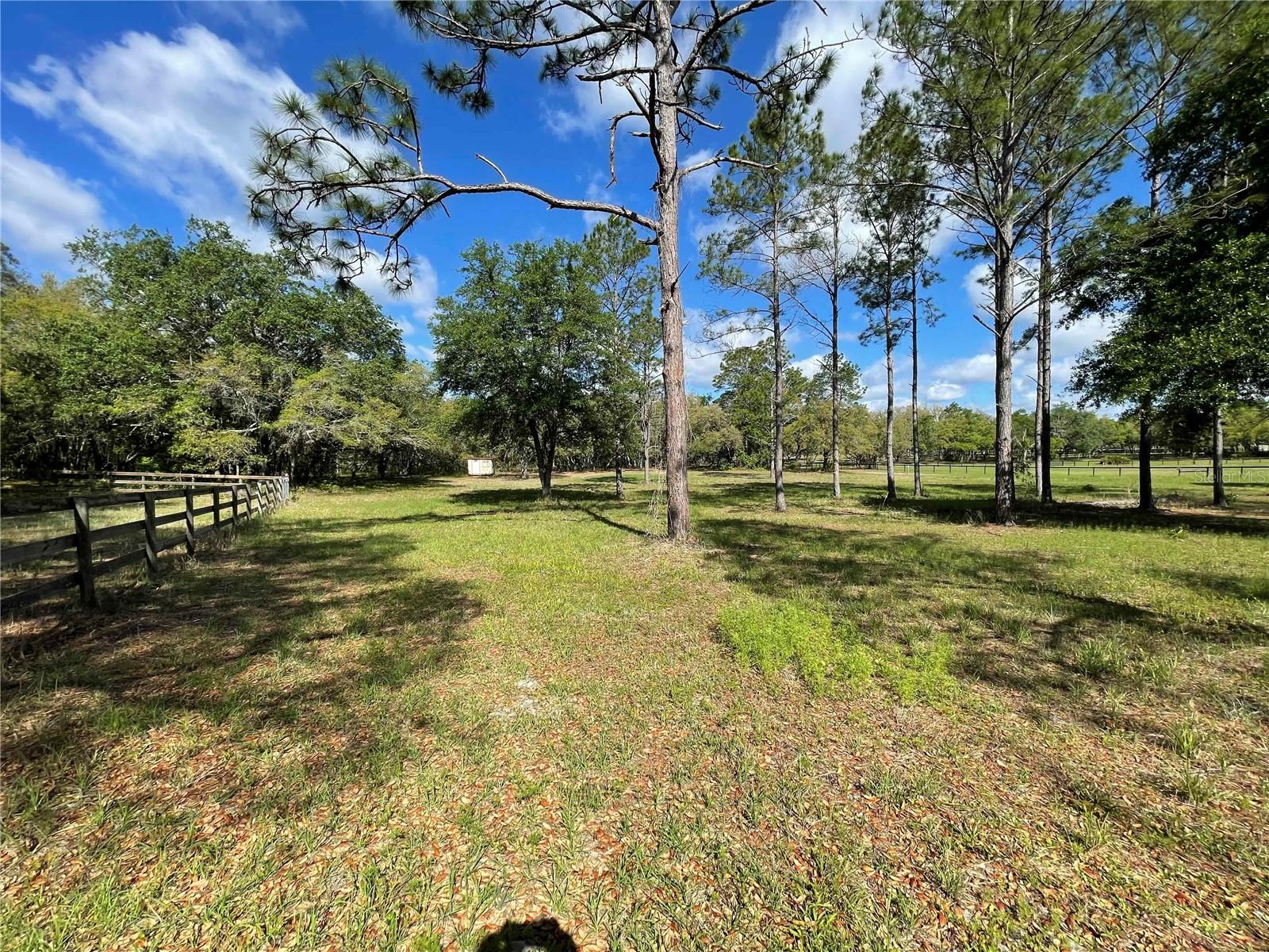 1550 SE 111TH CT, MORRISTON, FL — photo 41
