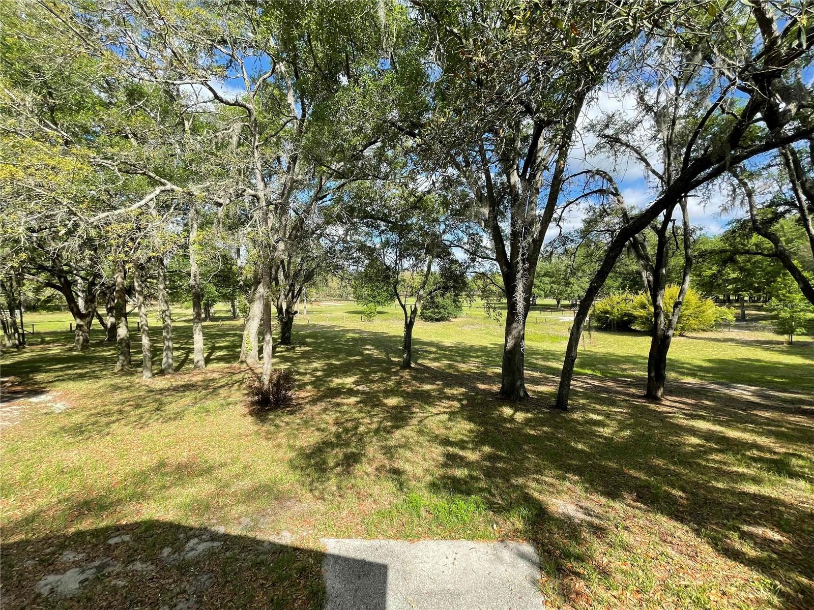 1550 SE 111TH CT, MORRISTON, FL — photo 44