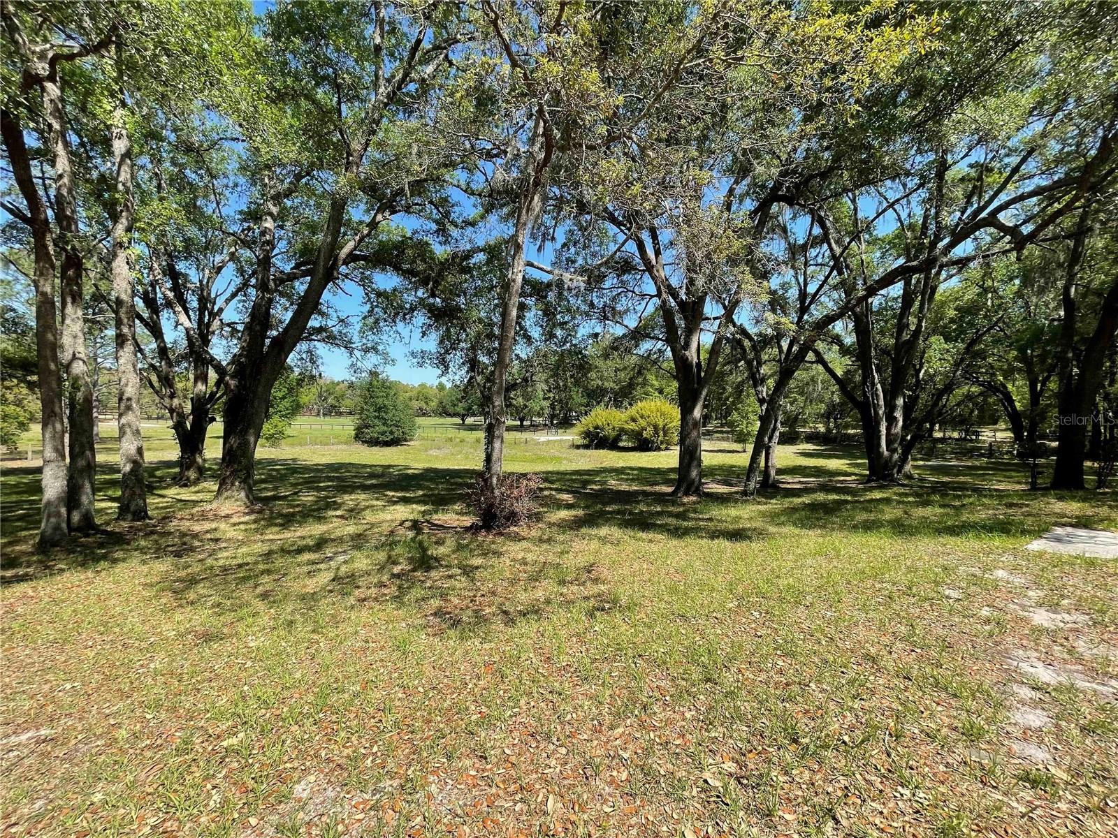 1550 SE 111TH CT, MORRISTON, FL — photo 47