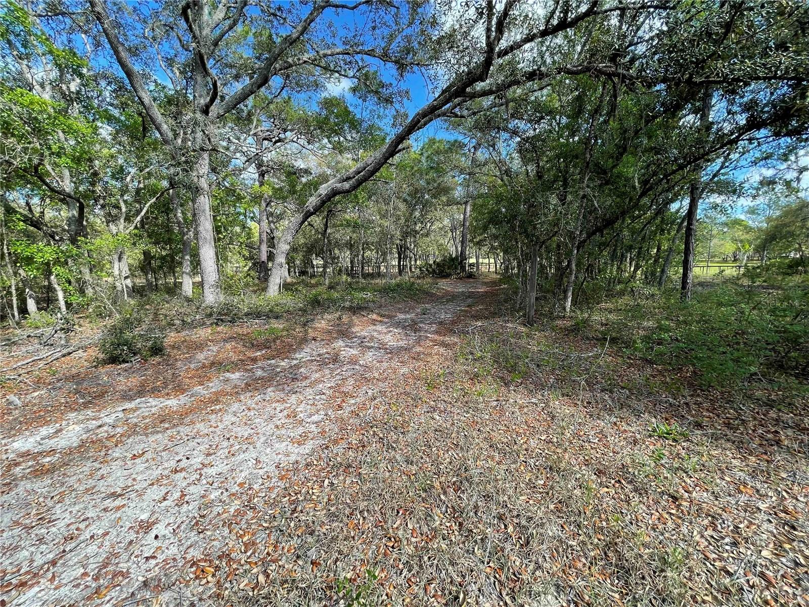 1550 SE 111TH CT, MORRISTON, FL — photo 52