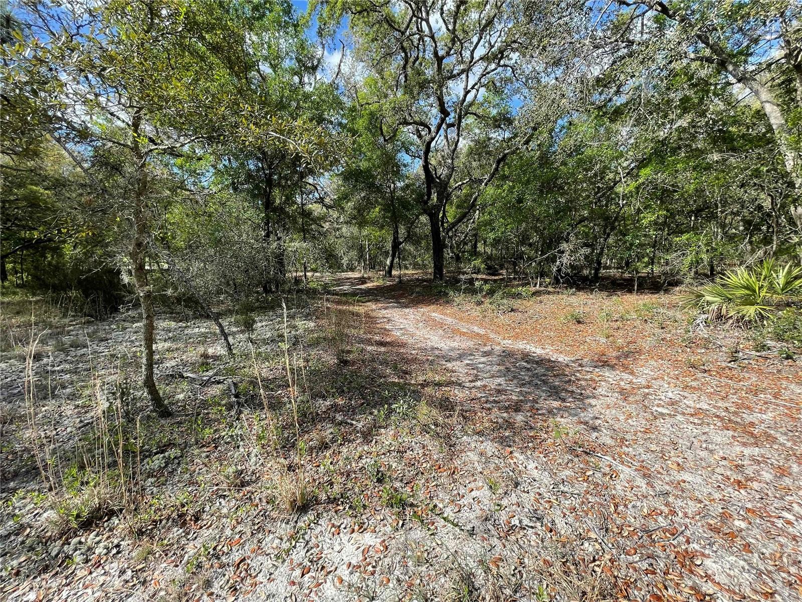 1550 SE 111TH CT, MORRISTON, FL — photo 53
