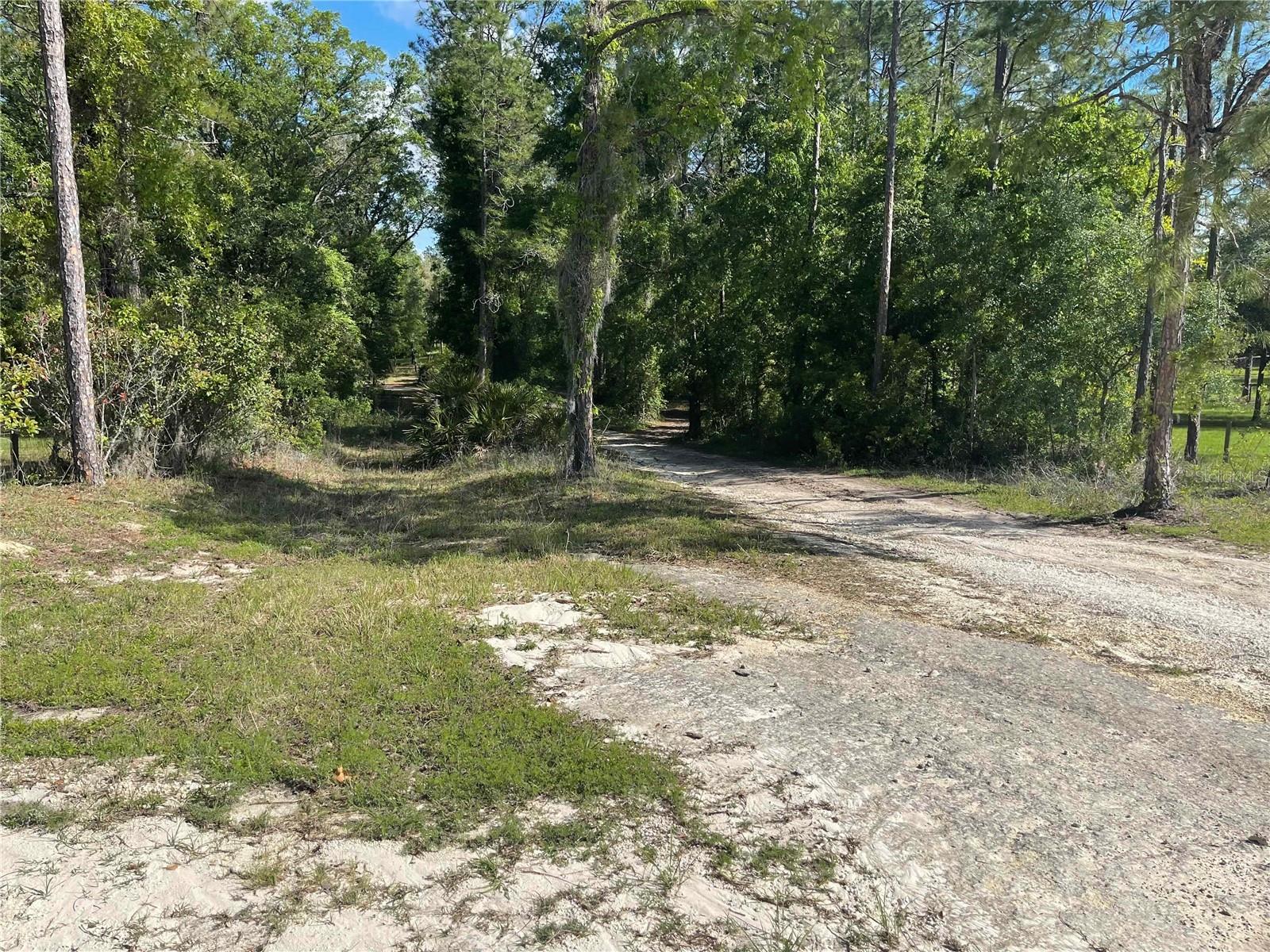 1550 SE 111TH CT, MORRISTON, FL — photo 54
