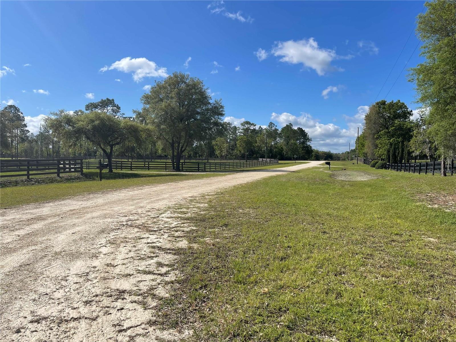 1550 SE 111TH CT, MORRISTON, FL — photo 55