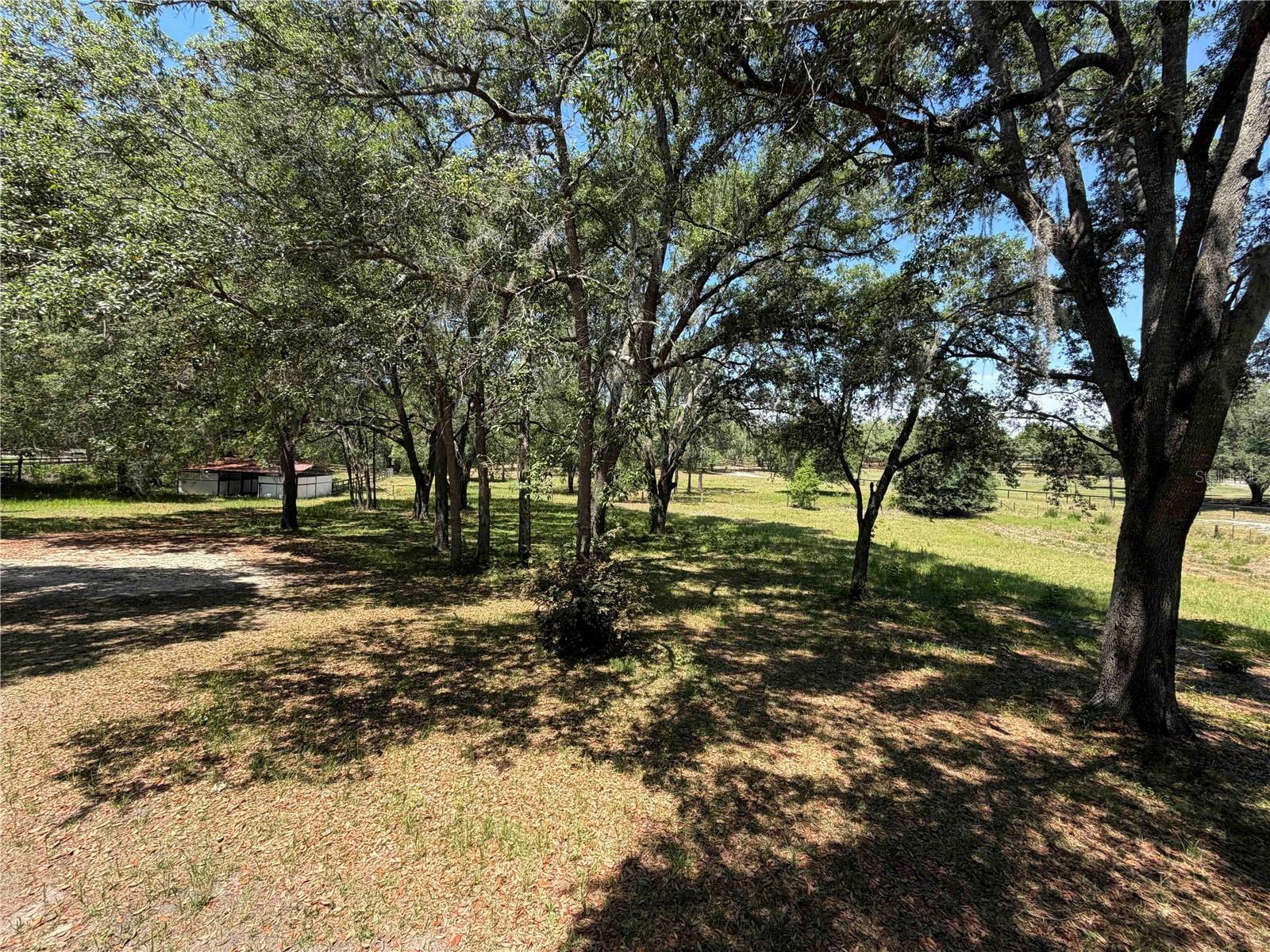 1550 SE 111TH CT, MORRISTON, FL — photo 61