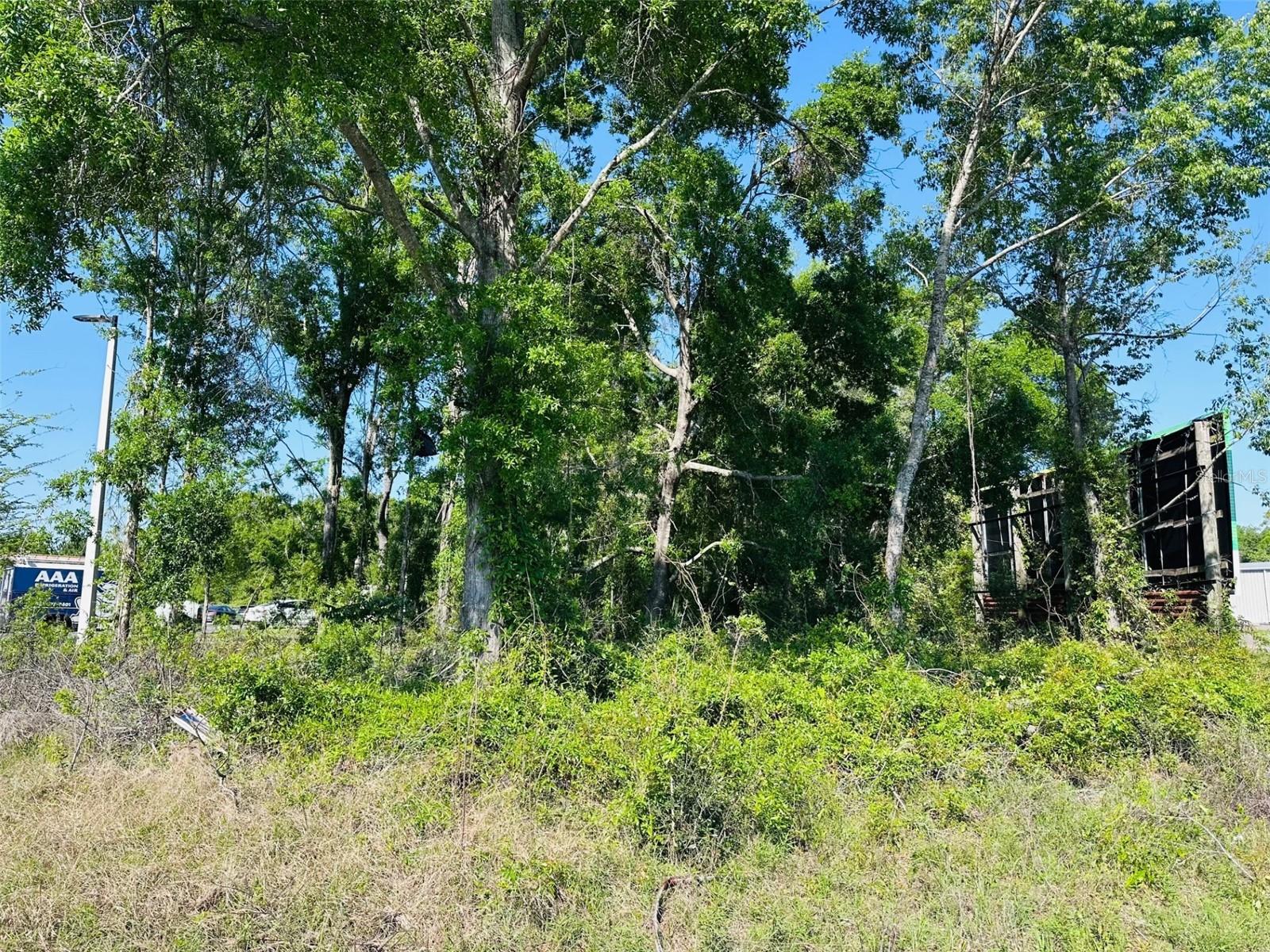 0 N YOUNG BLVD, CHIEFLAND, FL