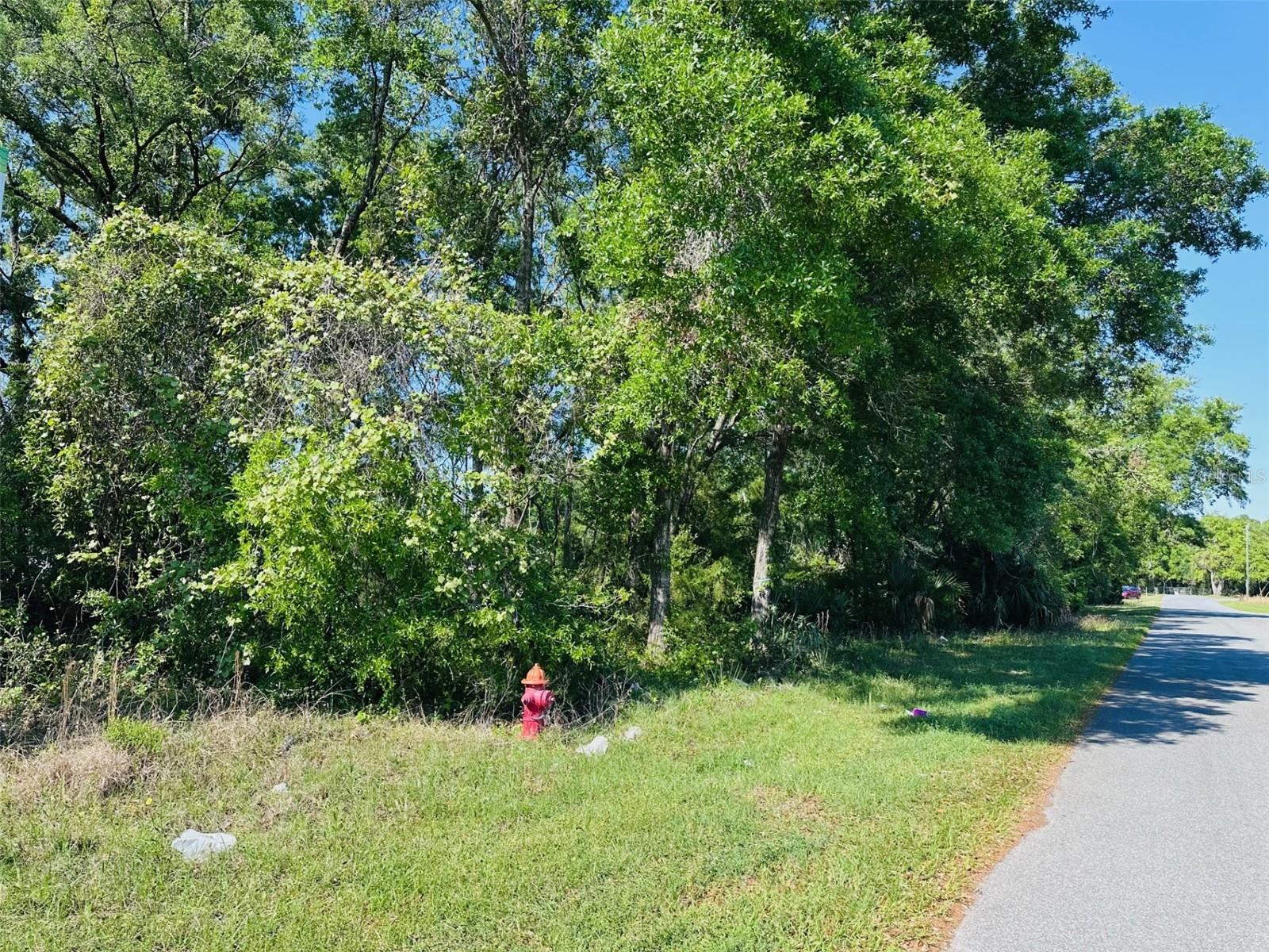 0 N YOUNG BLVD, CHIEFLAND, FL — photo 4
