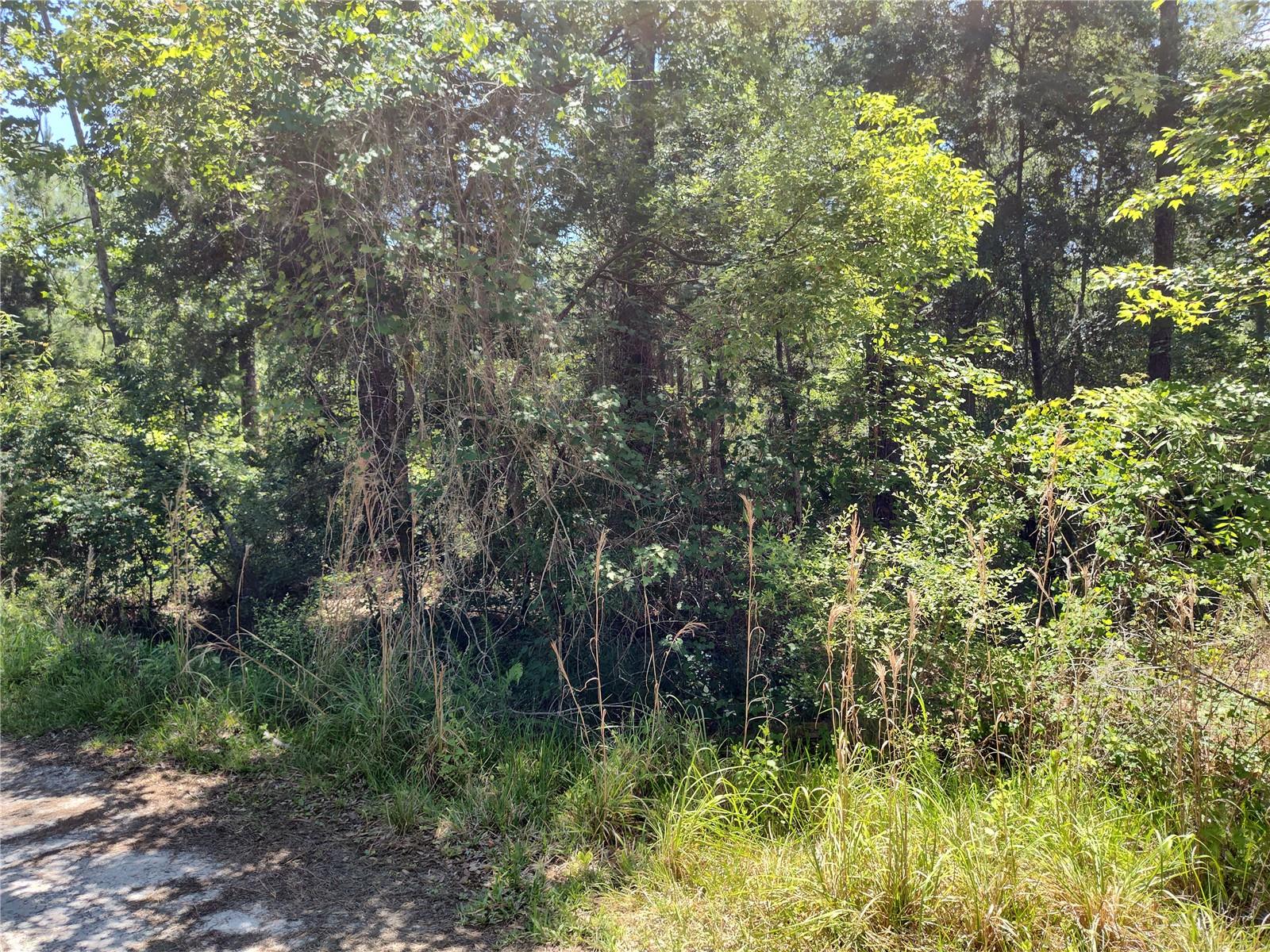 0000 NE 66TH AVE, CITRA, FL — photo 2