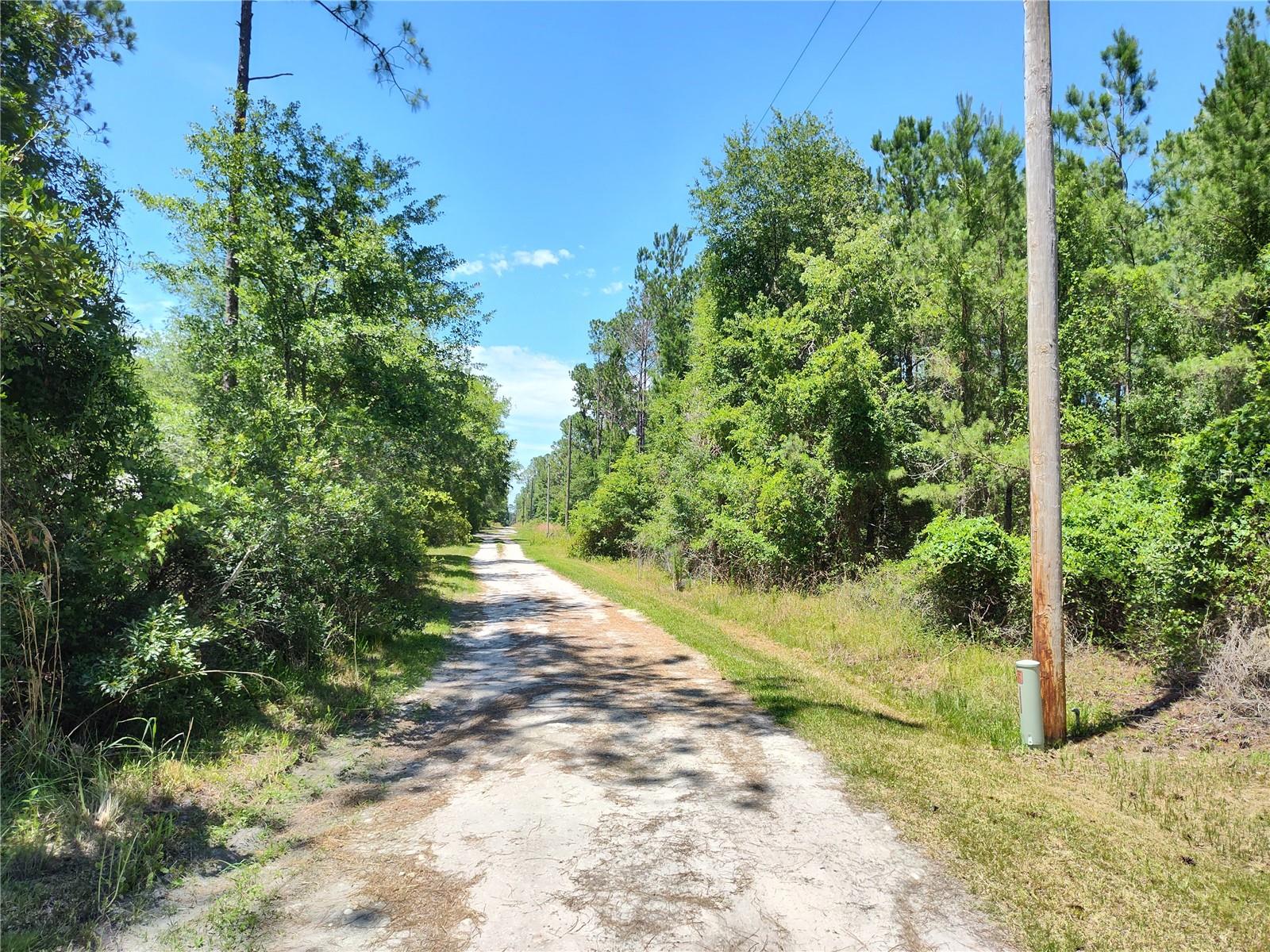 0000 NE 66TH AVE, CITRA, FL — photo 4