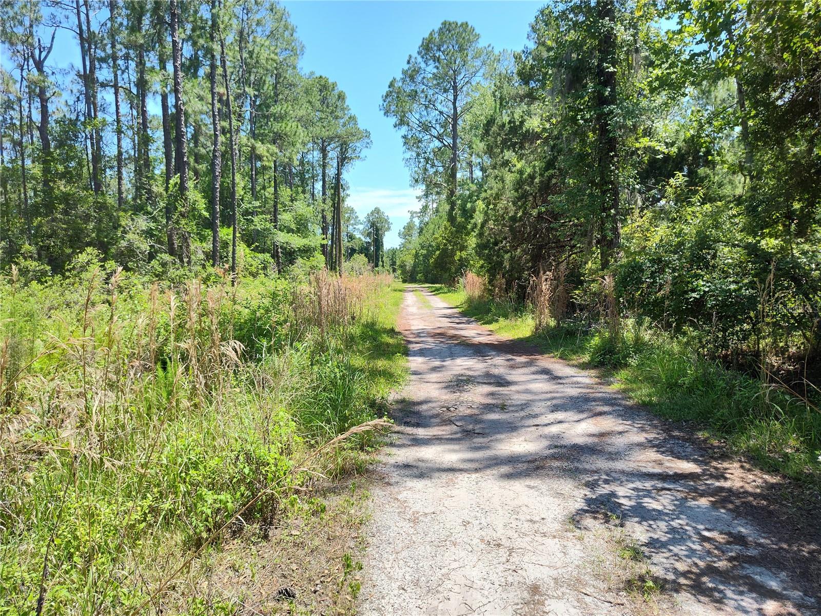 0000 NE 66TH AVE, CITRA, FL — photo 5