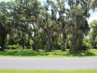 3117 BRIGHT LAKE CIR #lot 63 — photo 2