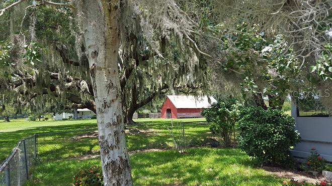 3650 LAKE TOHOPEKALIGA RD, ST CLOUD, FL — photo 34