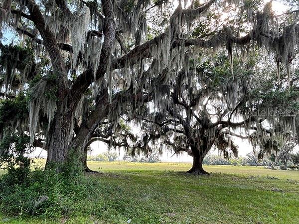 3650 LAKE TOHOPEKALIGA RD, ST CLOUD, FL — photo 32