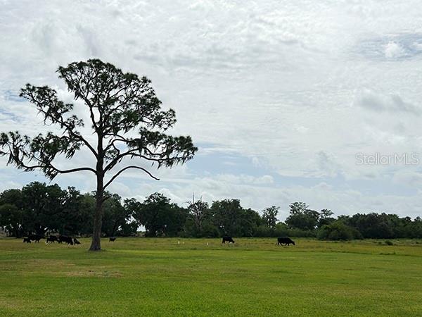 3650 LAKE TOHOPEKALIGA RD, ST CLOUD, FL — photo 54