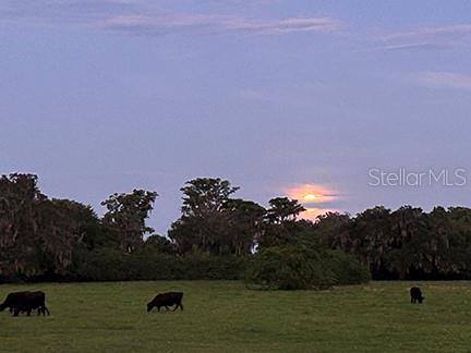 3650 LAKE TOHOPEKALIGA RD, ST CLOUD, FL — photo 64