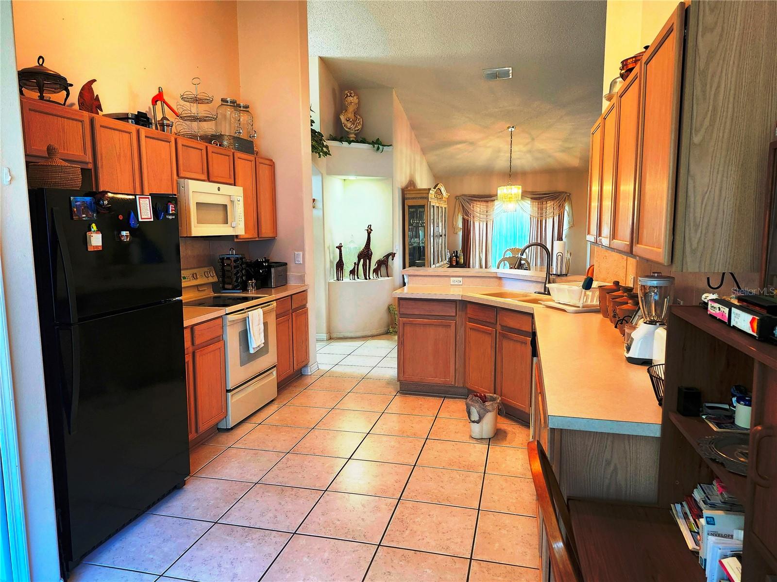 4613 EAGLET LN, KISSIMMEE, FL — photo 3