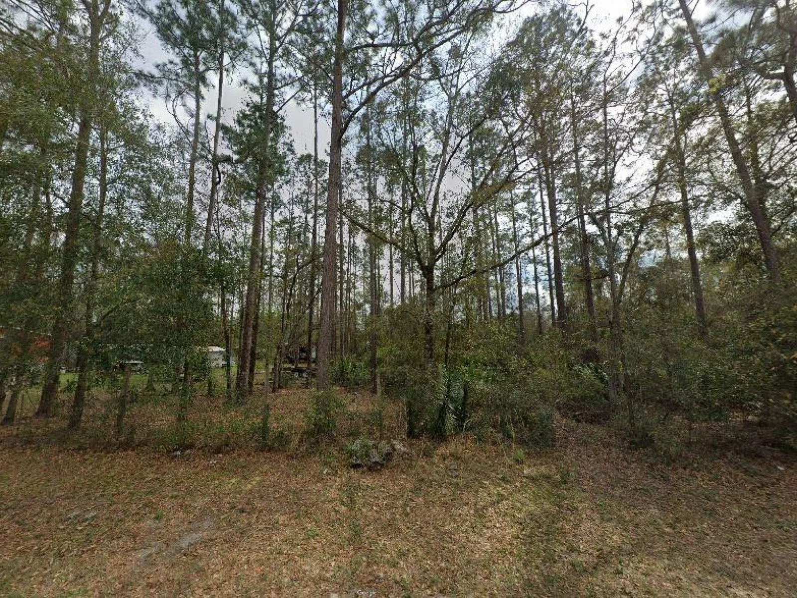 RILEY ST, INTERLACHEN, FL — photo 7