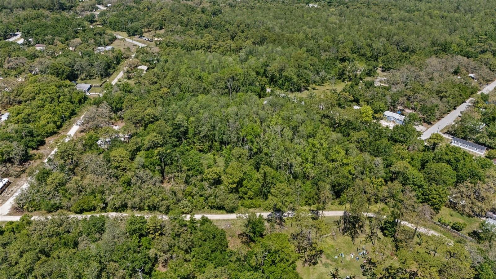 12914 MIDVALE AVE, NEW PORT RICHEY, FL — photo 3