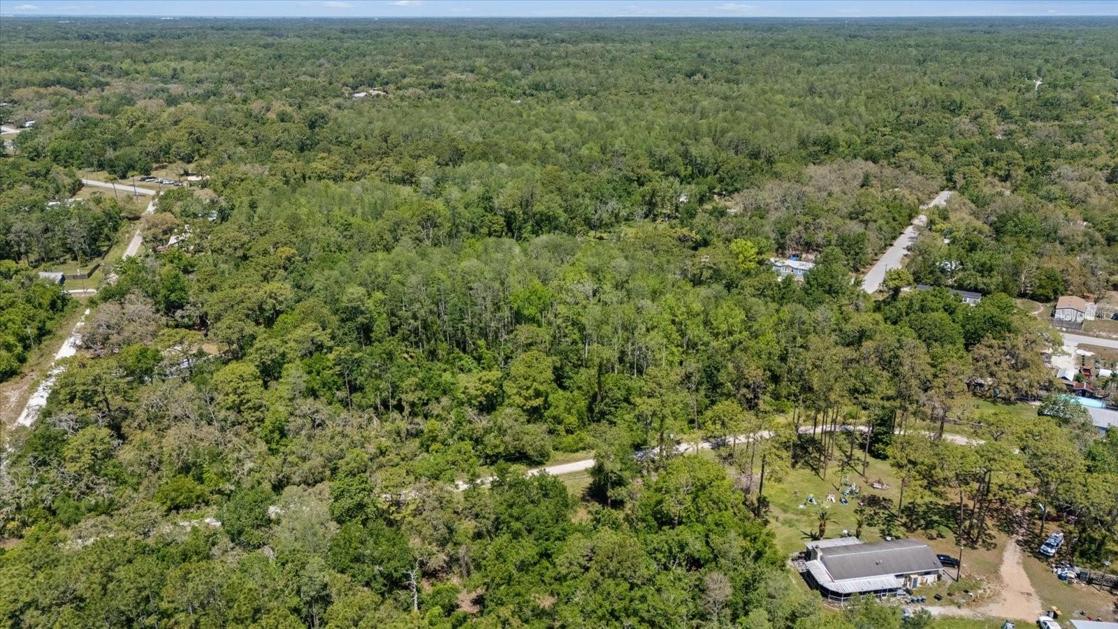 12914 MIDVALE AVE, NEW PORT RICHEY, FL — photo 7