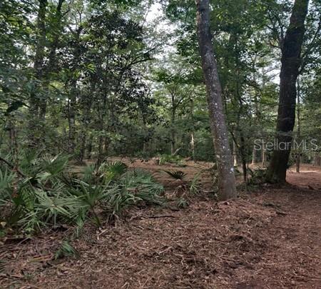 5212 NW 19TH ST, GAINESVILLE, FL — photo 4