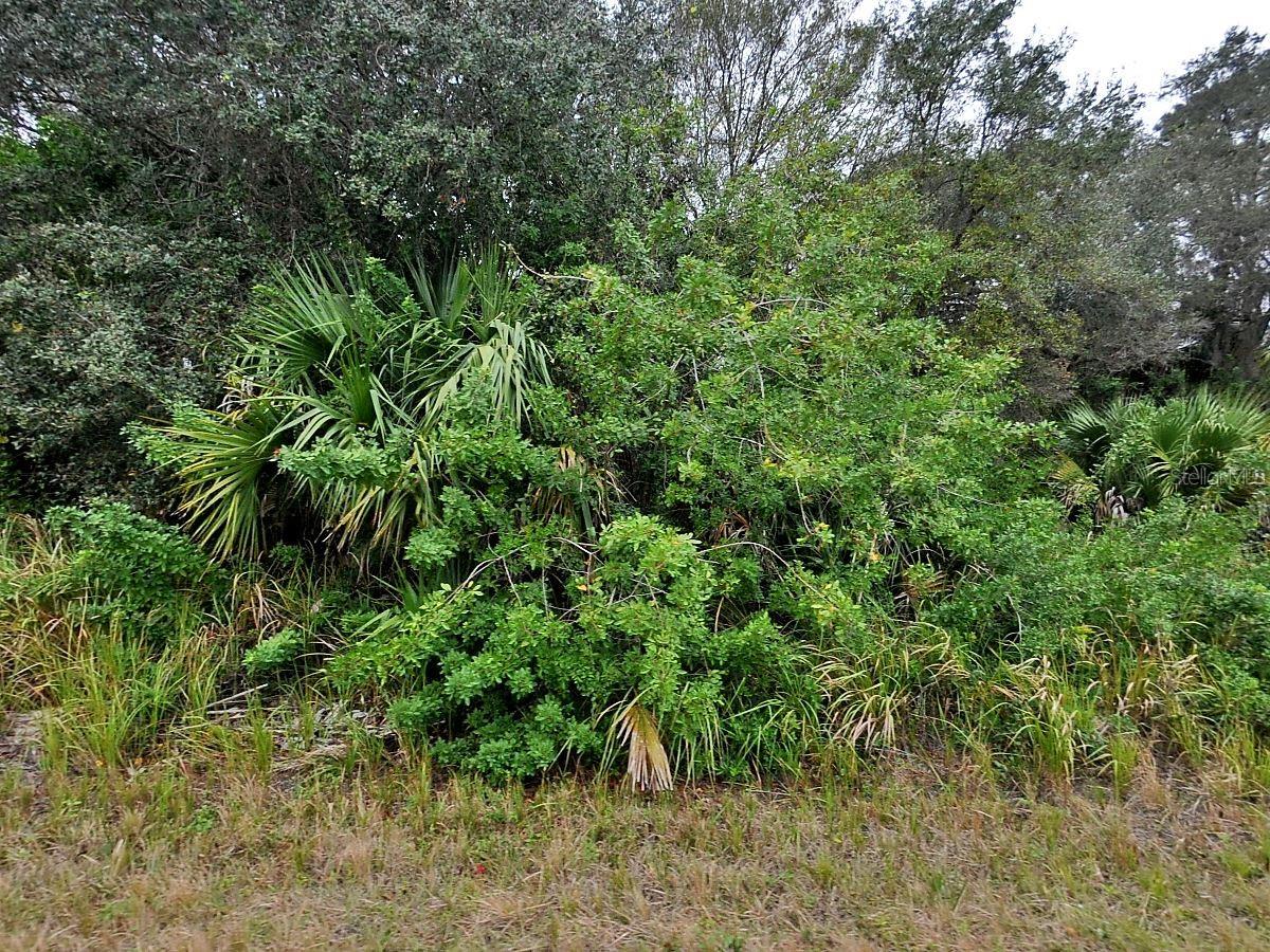 BREWSTER LOT #8 RD, NORTH PORT, FL