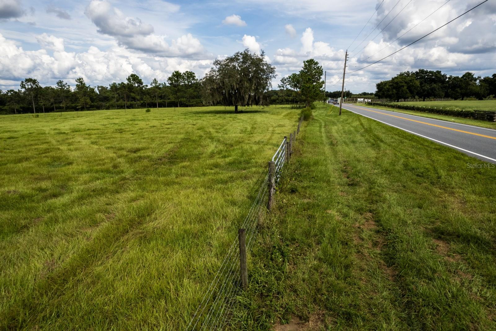 17931 COUNTY ROAD 448, MOUNT DORA, FL — photo 7