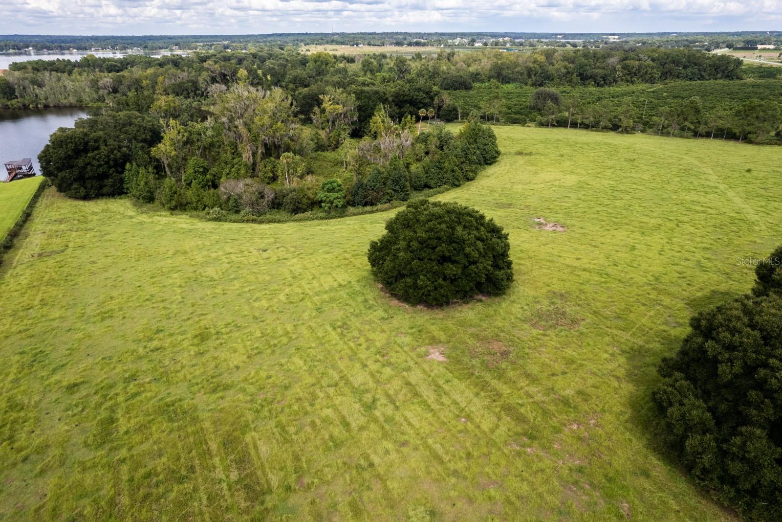 17931 COUNTY ROAD 448, MOUNT DORA, FL — photo 10