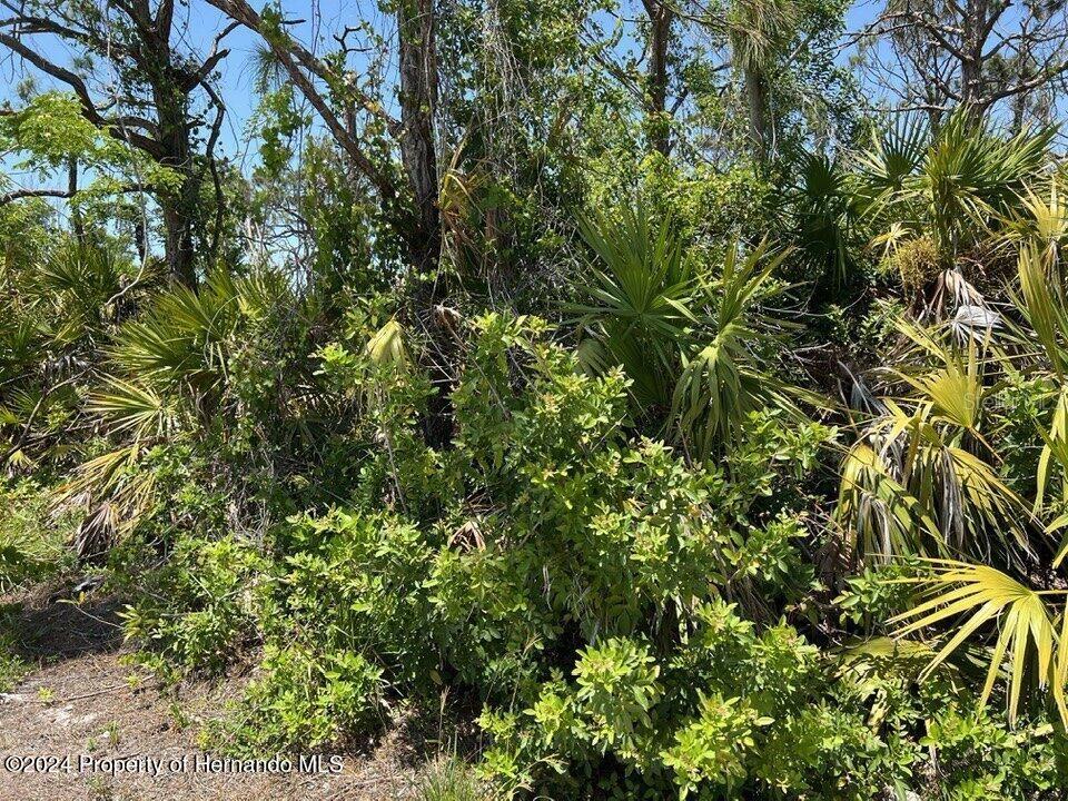 3714 MYERS LN, ST JAMES CITY, FL — photo 3