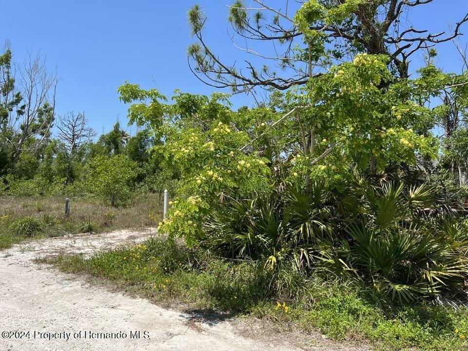 3714 MYERS LN, ST JAMES CITY, FL — photo 4