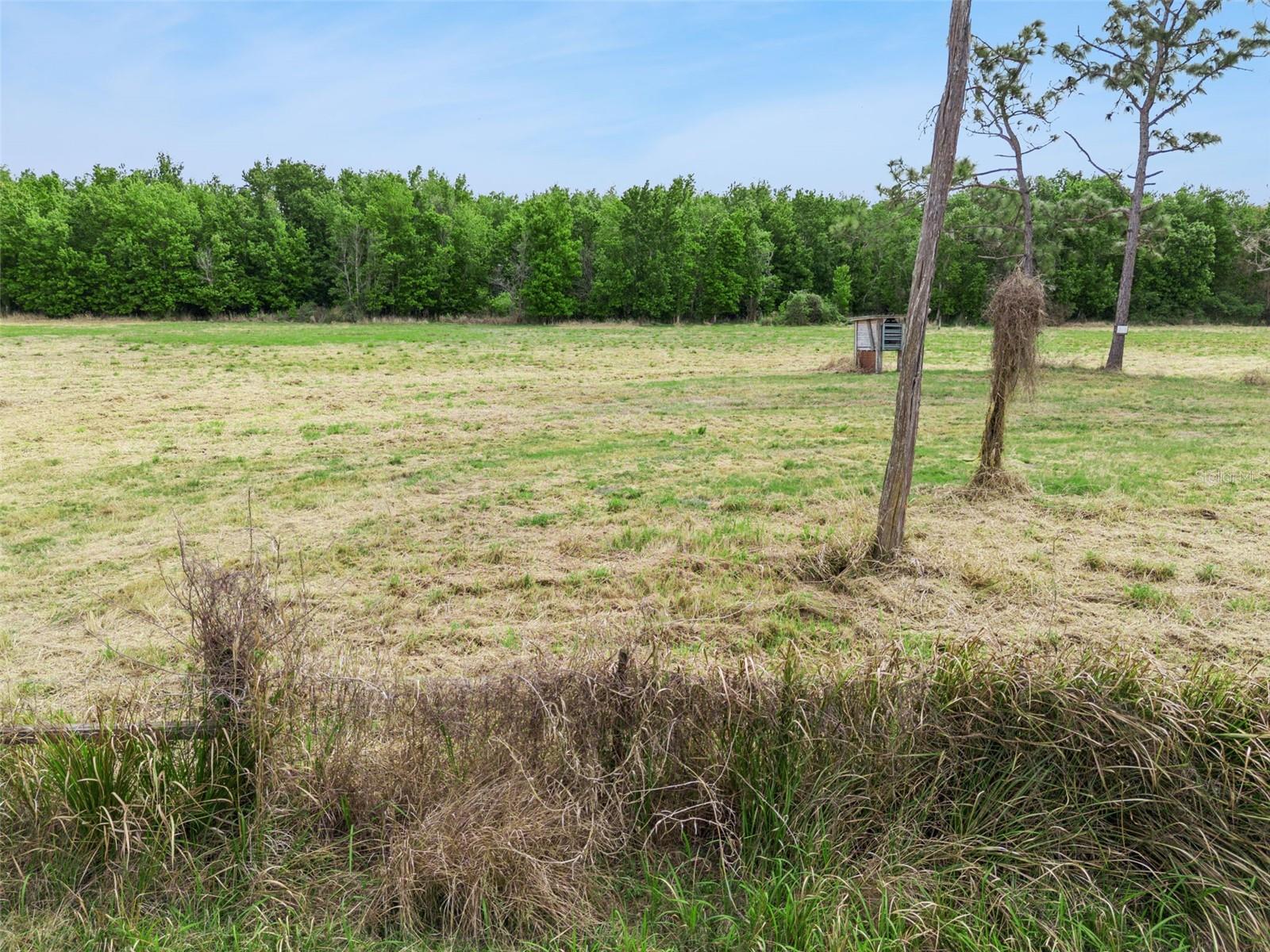 0000 FANNY BASS LN, ST CLOUD, FL — photo 9