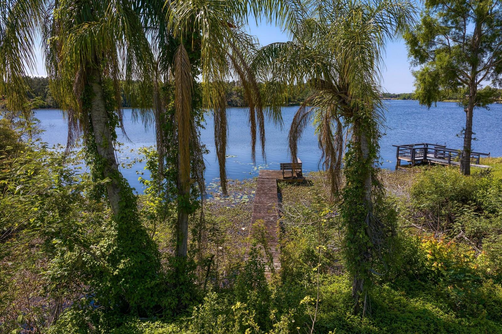 4607 E RIVER HILLS DR, TAMPA, FL — photo 6