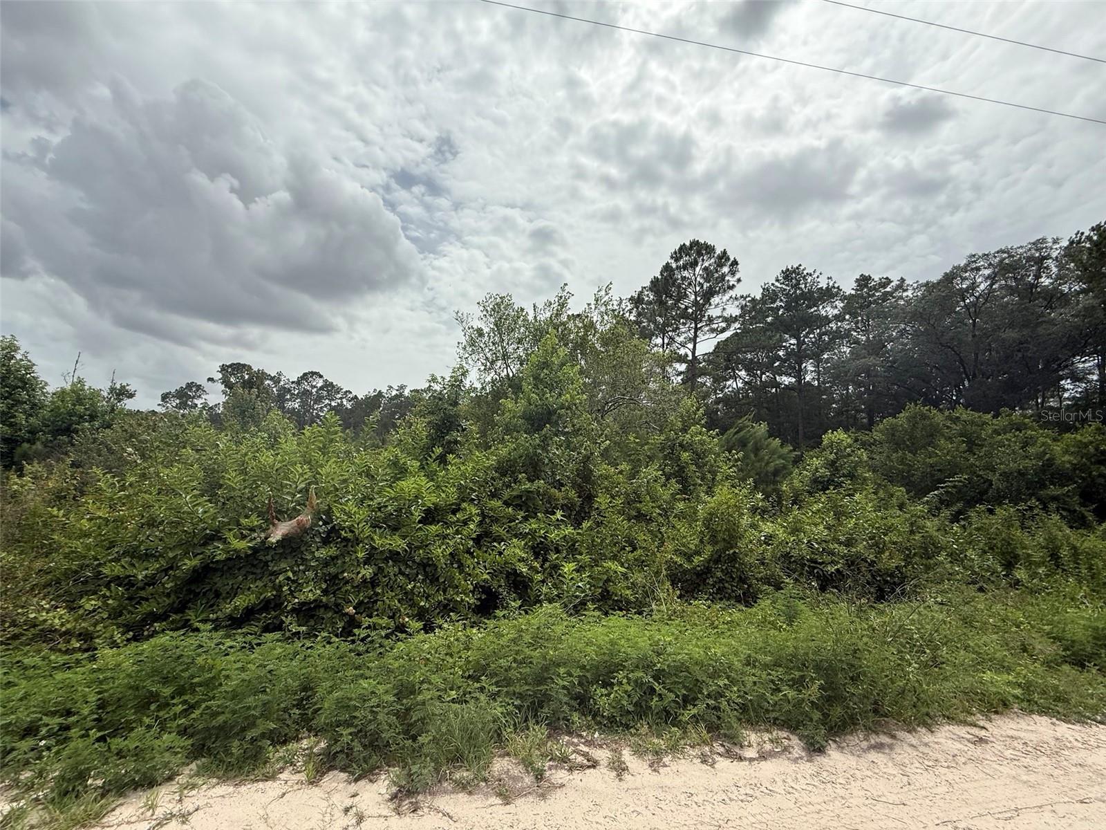129 FISHERMANS DR, INTERLACHEN, FL